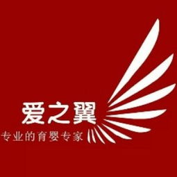 大連產(chǎn)后康復培訓指南 課程、選擇與機構推薦